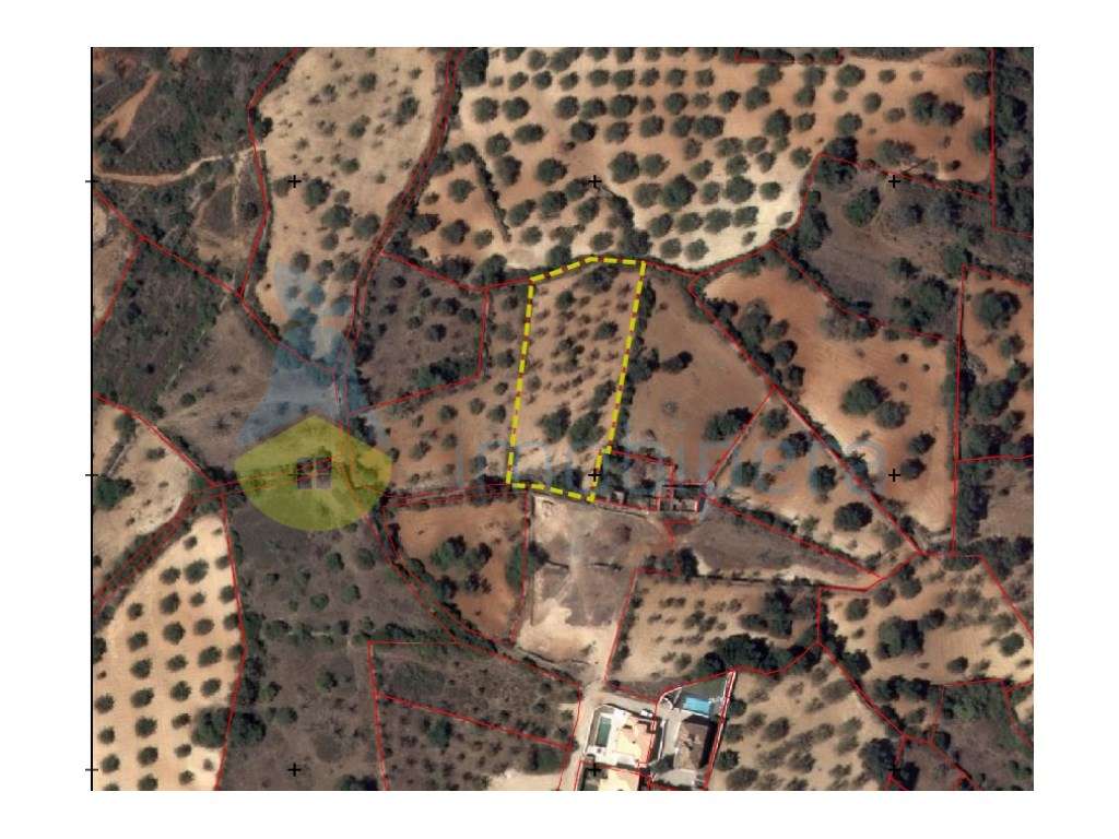 TERRENO RÚSTICO 1800m2 VISTA FANTÁSTICA BOLIQUEIME - Grande imagem: 4/10