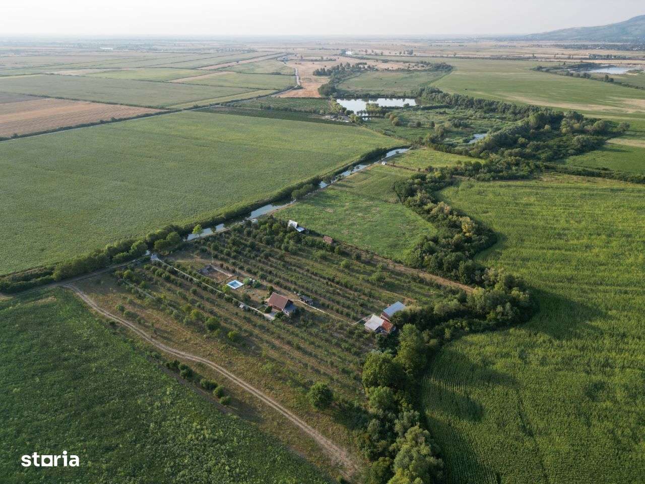 Teren cu livada si pescarie - Zabrani - Imagine principală: 3/8