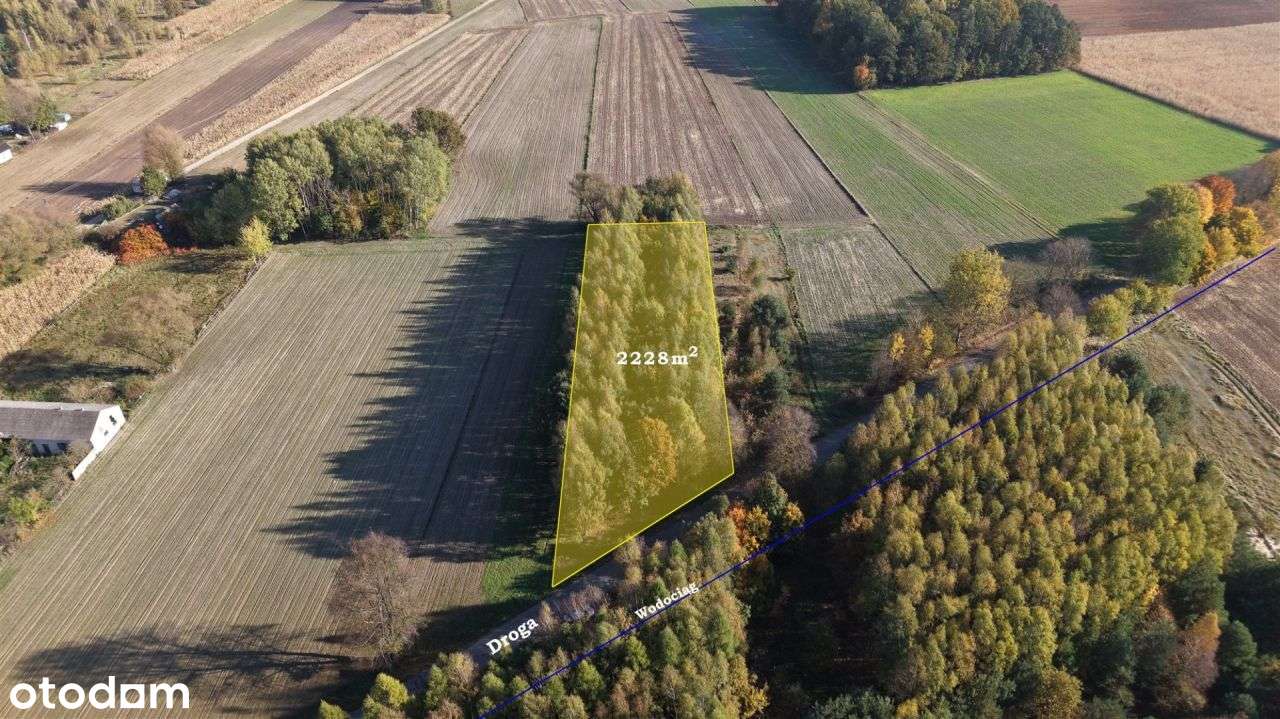 Duża zadrzewiona działka nieopodal Wkry.-9