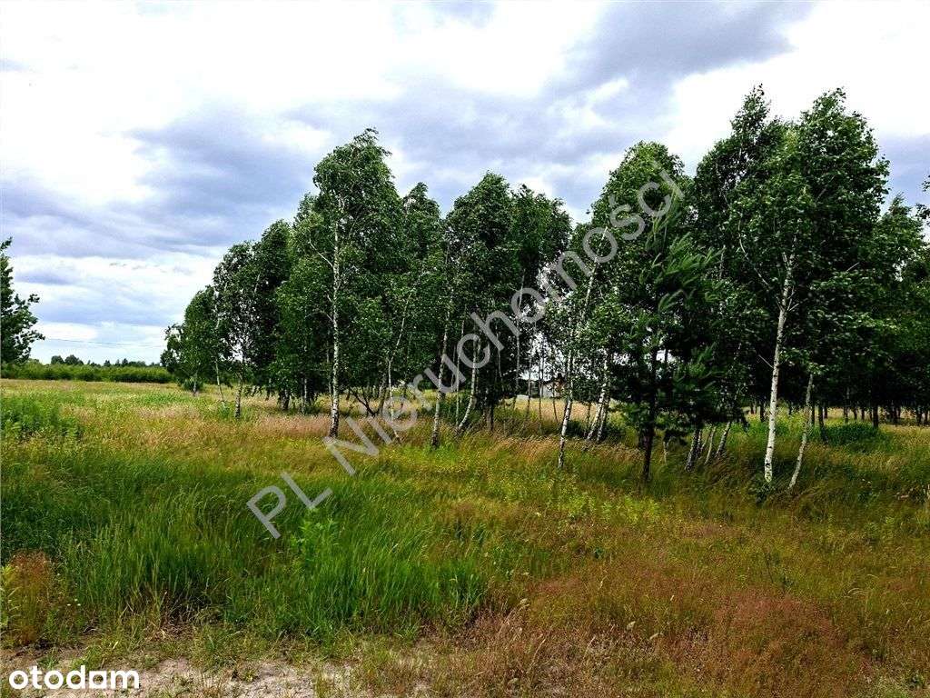 Duża działka w dobrej cenie !-6
