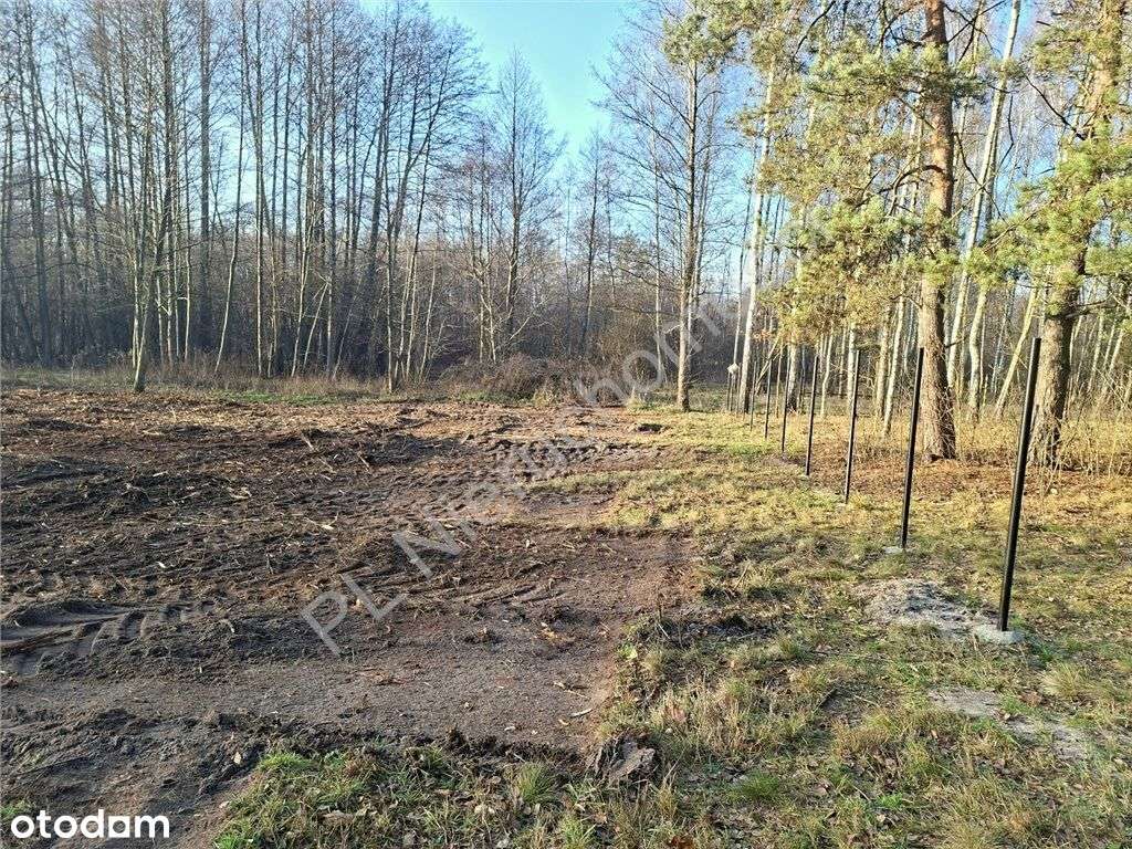 Działka rolna na "wypady" rekreacyjne - Pełny obrazek: 4/13