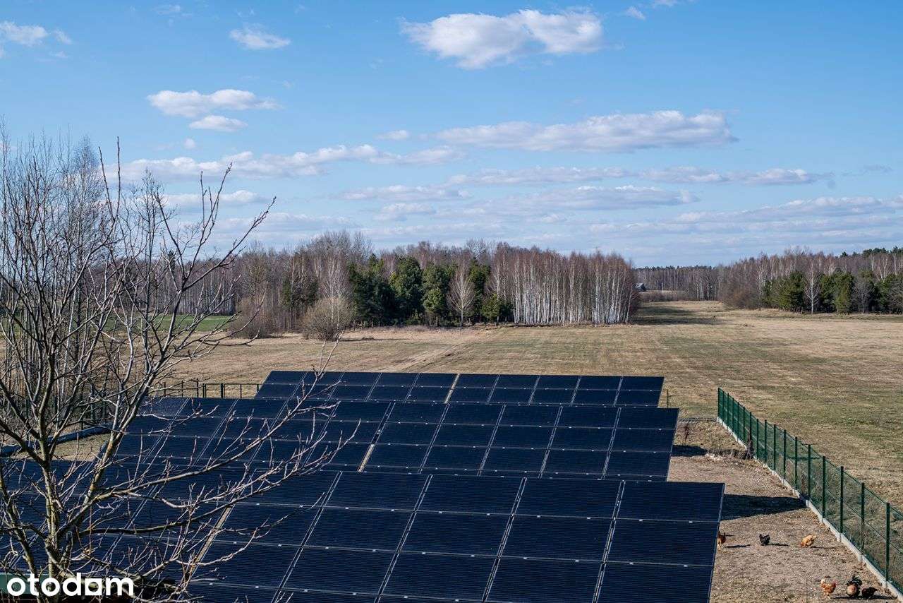 Dom z dużą działką oraz halą produkcyjną-12