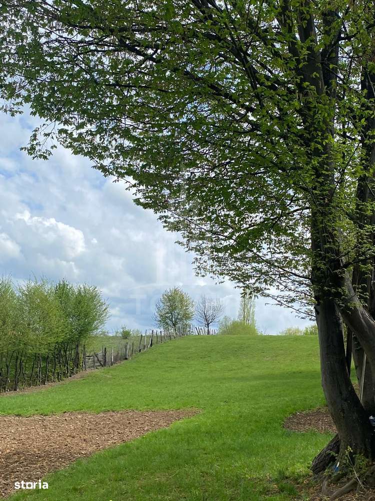 Teren intravilan 1200 mp – utilități la poartă, zonă exclusivistă Sibi - Imagine principală: 4/6