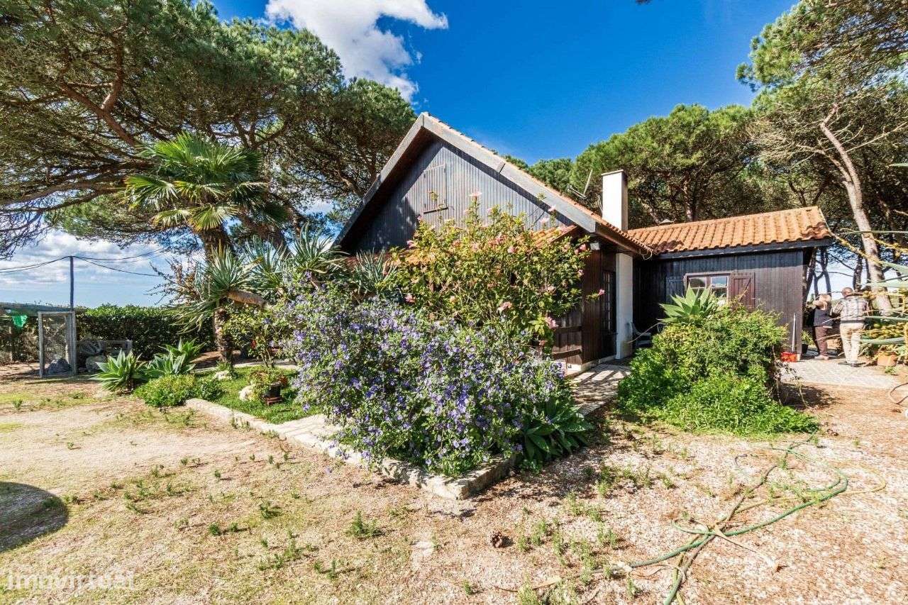 Quinta com 7.000m² em Amoreira, São João das Lampas - Grande imagem: 3/23