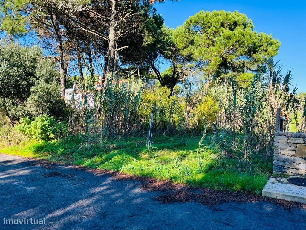 Terreno Urbano, 2300m2, projeto aprovado construção moradia, Magoit... - Grande imagem: 3/27