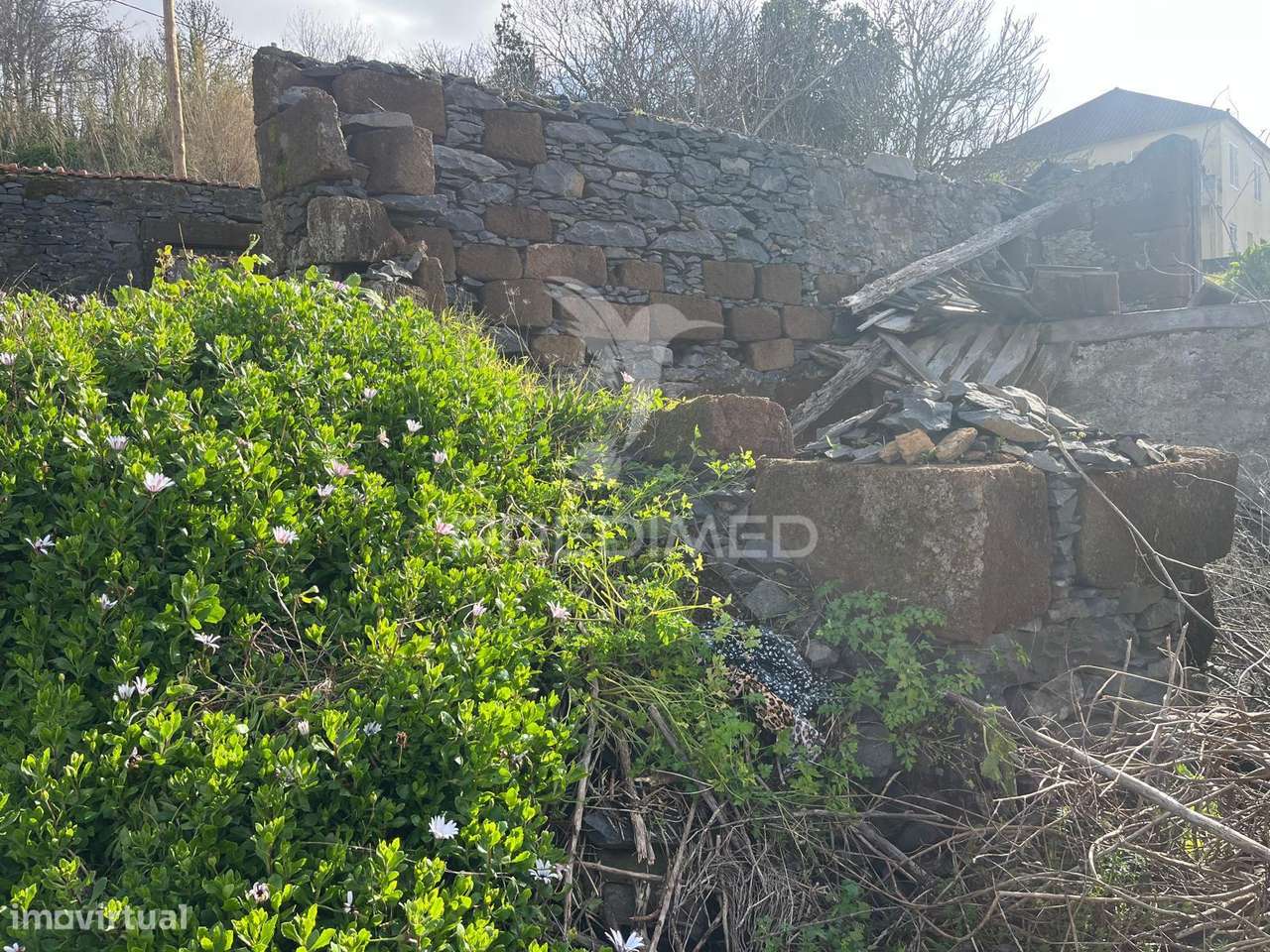 MORADIA TÉRREA E PALHEIRO COM TERRENO NA RAPOSEIRA-MADEIRA PARA REC... - Grande imagem: 2/5