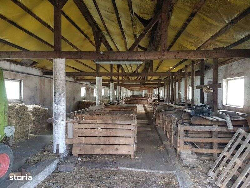 ID 12276: Grajd in Sieu, Bisitrita Nasaud - Imagine principală: 3/13