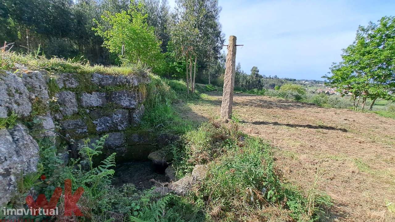 QUINTA cerca 1.5Ha, com CASA PEDRA 100m2, registada como habitação-10