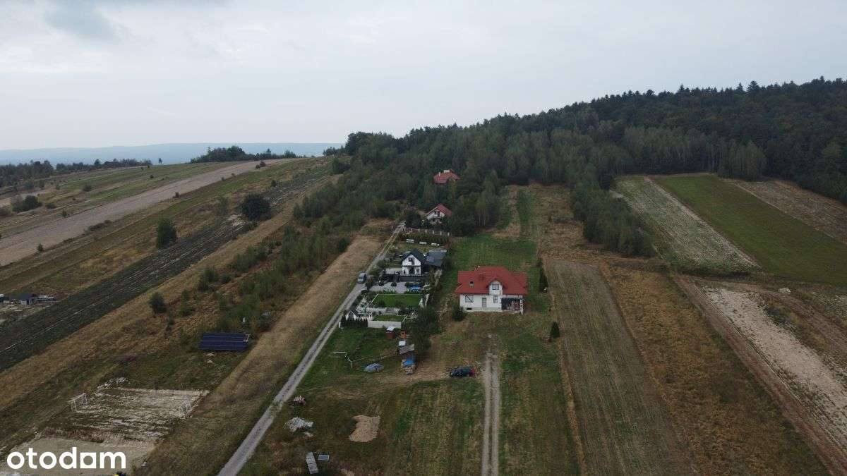 Dom z dużą działką prywatnym lasem - piękny widok! - Pełny obrazek: 4/8