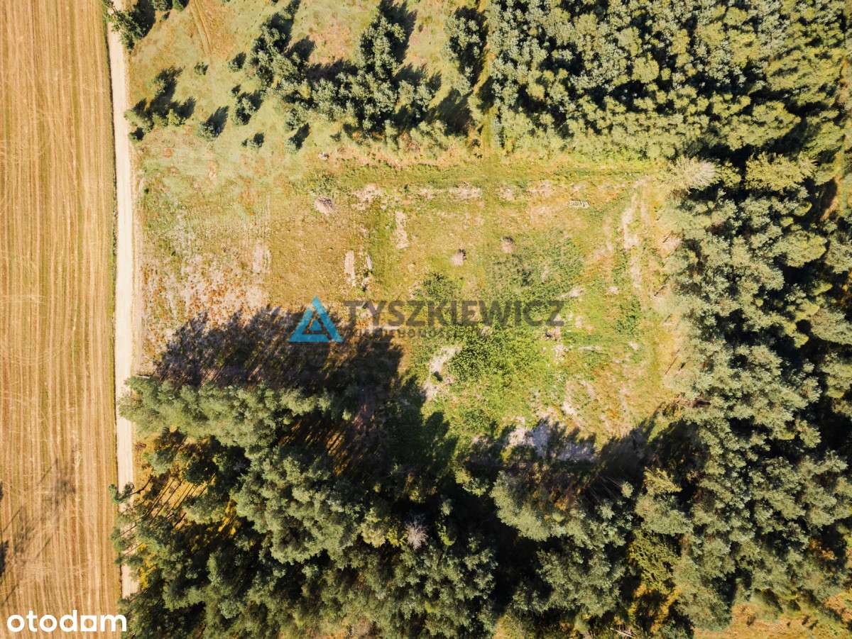 Działka Budowlana Z Warunkami Zabudowy - Pełny obrazek: 5/8