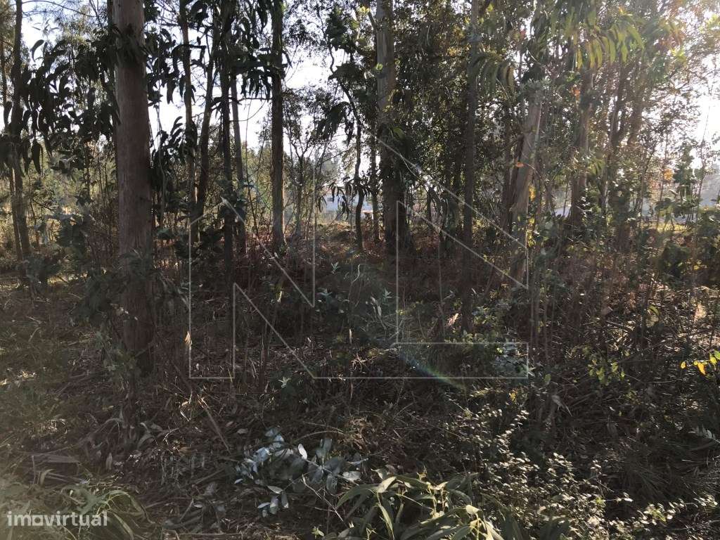 Terreno Urbano em Barrô - Grande imagem: 4/7