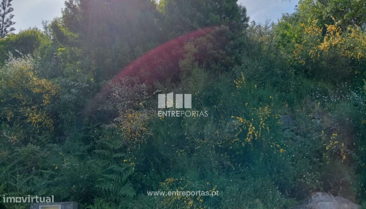 Lote de terreno para venda, Âncora, Caminha - Grande imagem: 5/25