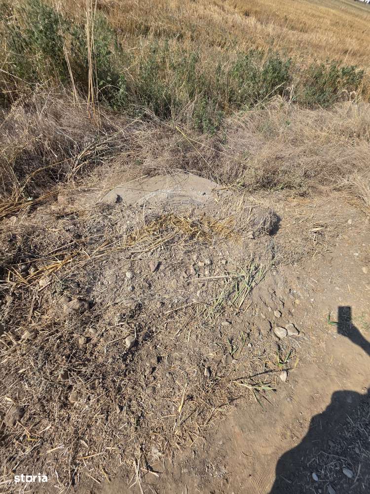 Teren intravilan 5.450 mp – Strada Castanilor, Ciorogârla – zonă rezid-2