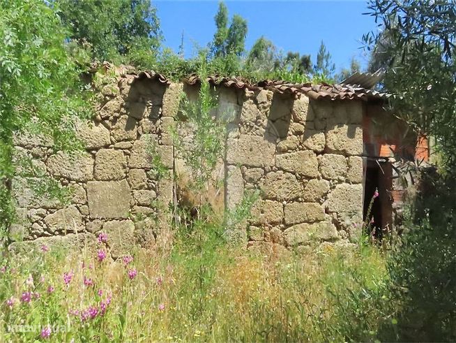 Quinta  para venda-15