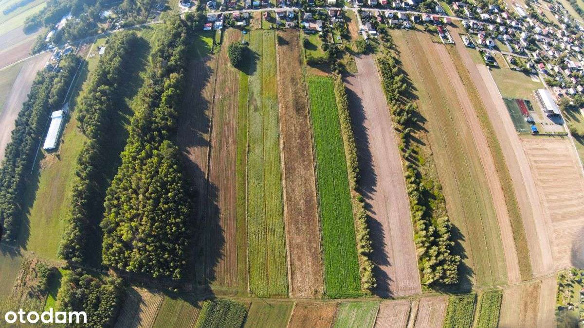 Działka budowlana | Panki, ul. Górnicza-5