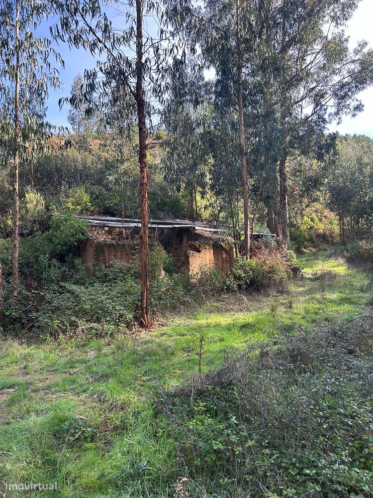 Terreno rustico , com ruína registada. - Grande imagem: 3/9