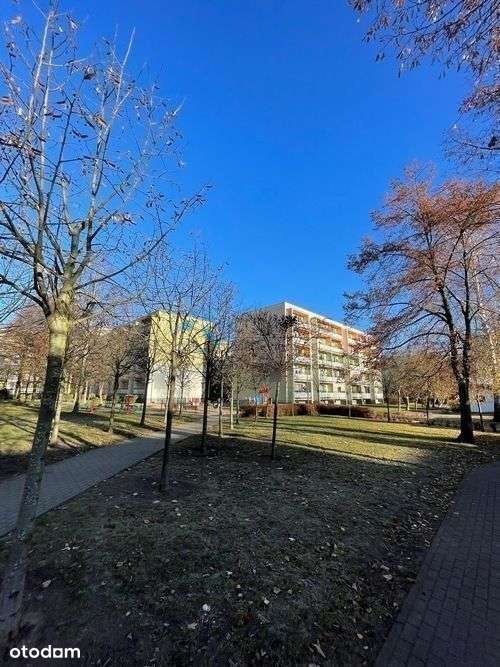 Jasna,ustawna i cicha kawalerka ok. 32m2-15