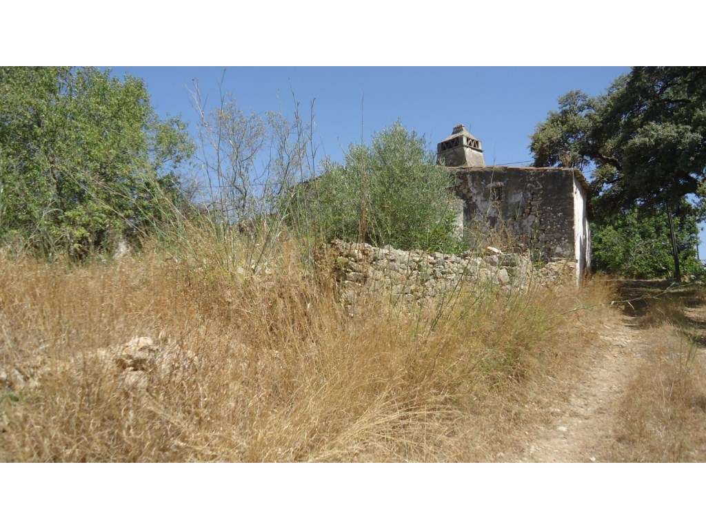 Terreno com ruína, Machados, S. Brás de Alportel, Algarve - Grande imagem: 2/12