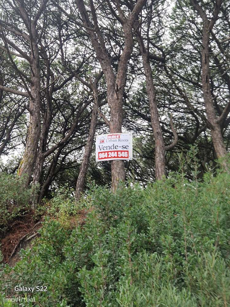 Terreno com 59.120,00 m2 Qtª Robalo - Capuchos - jtº Costa Caparica-7