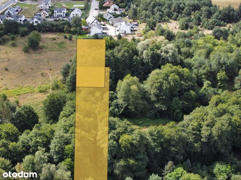 UNIKAT | Działka budowlana z prywatnym lasem z MPZP | 3969 m2 - Pełny obrazek: 5/16