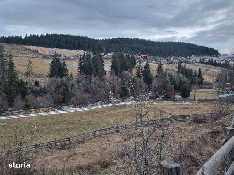 Teren de vanzare la munte langa vale poiana horea - Imagine principală: 4/5