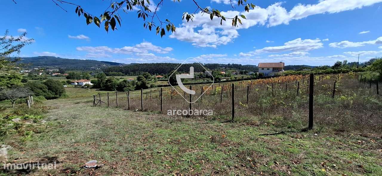 Quinta Agricola de 6Hect. c/casa T3 em Calvelo - Ponte de Lima-16
