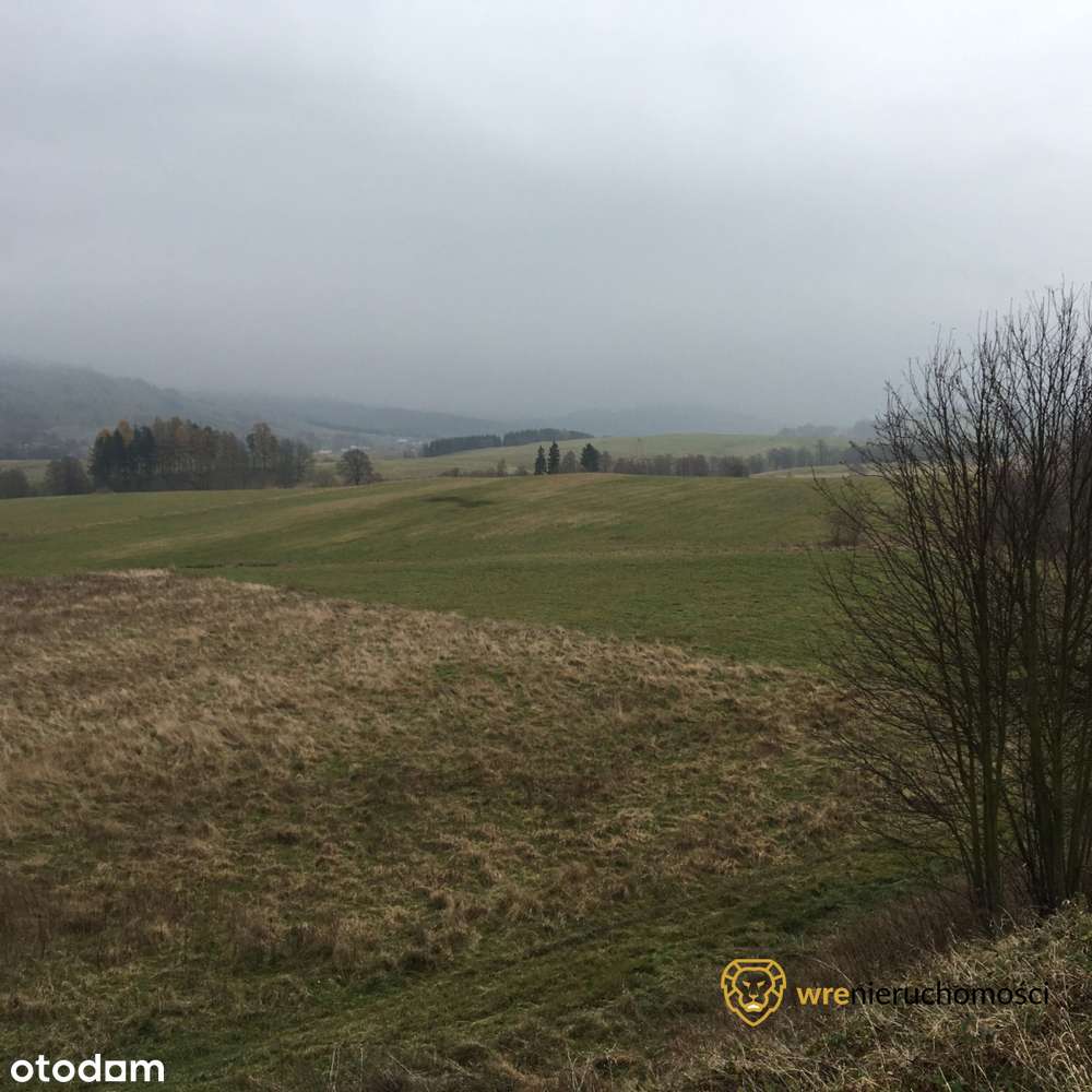 Widokowa działka inwestycyjna w Głuszycy! - Pełny obrazek: 5/8
