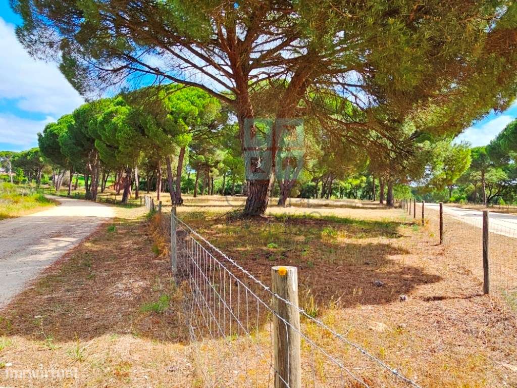 Lote de Terreno de 33.300m2, com lagoa, na Mata do Duque 1, Santo E...-11
