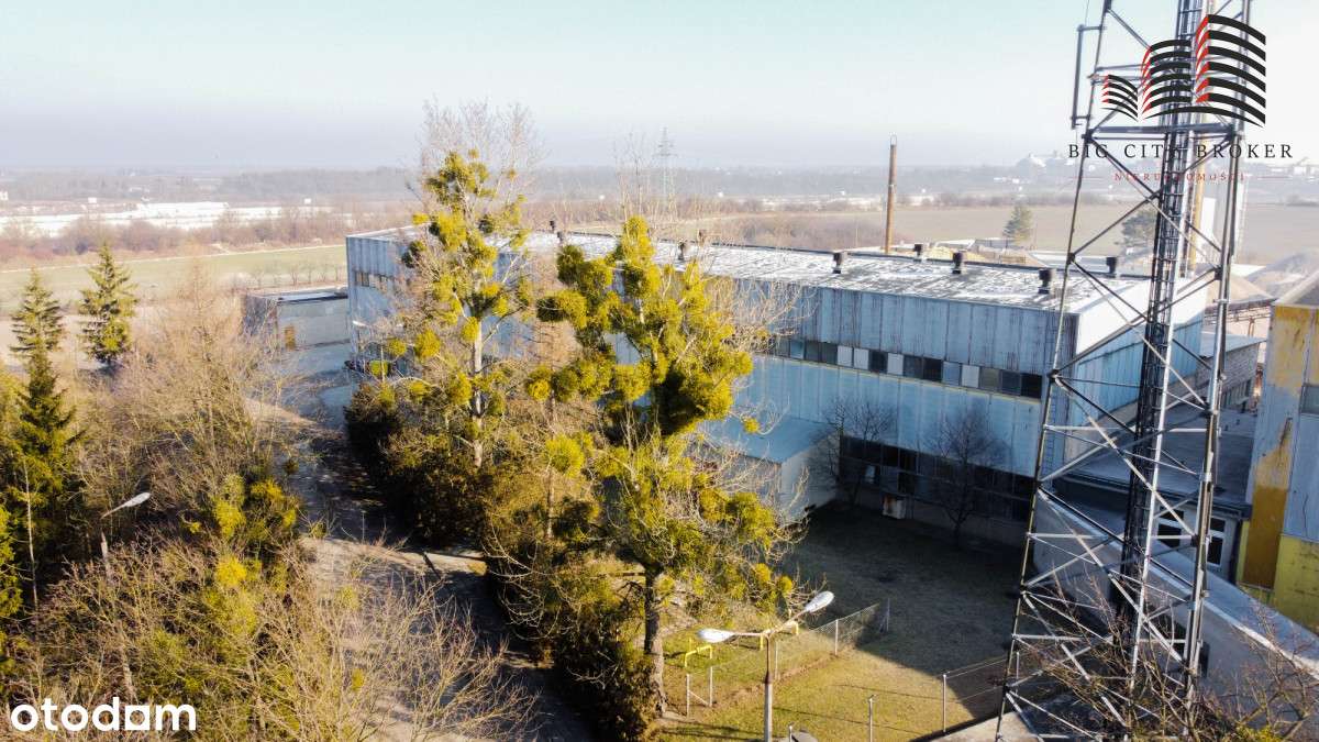 Hala Produkcyjna Z Magazynem - Pełny obrazek: 5/12