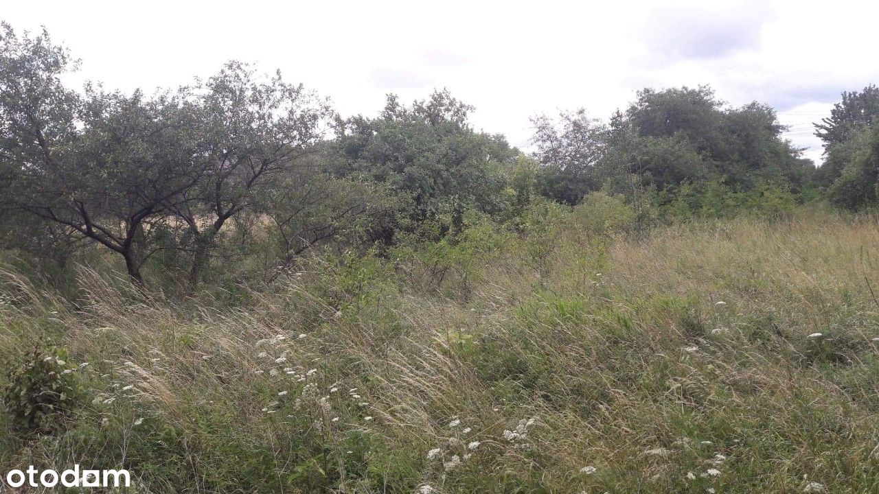 Ładnie położona działka w pierwszej linii,Olszówka