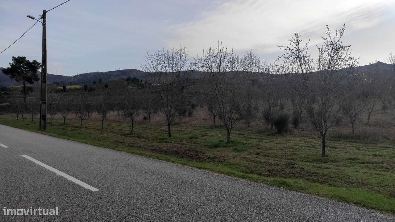 Oportunidade Exclusiva: Quinta com Alto Potencial de Valorização-10