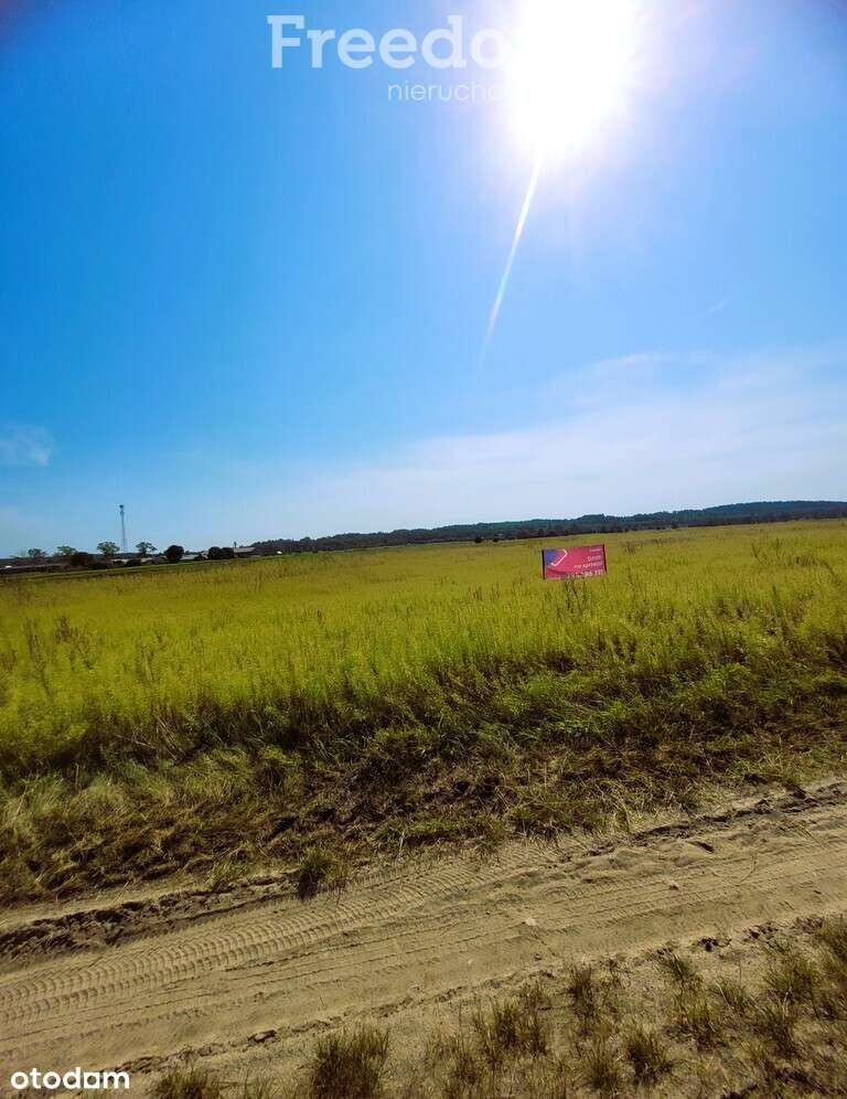 Działka na Mazurach Napiwoda Nidzica - Pełny obrazek: 4/20