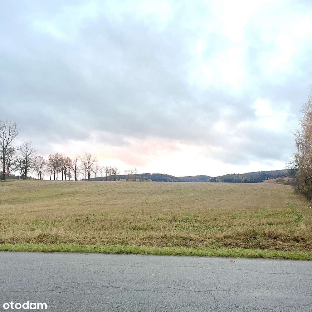 Działka w rejonie górskim blisko Śnieżnika - Pełny obrazek: 3/10