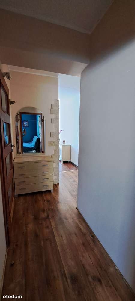 Przestronne 3-pokojowe mieszkanie z ogrodem - Pełny obrazek: 2/9