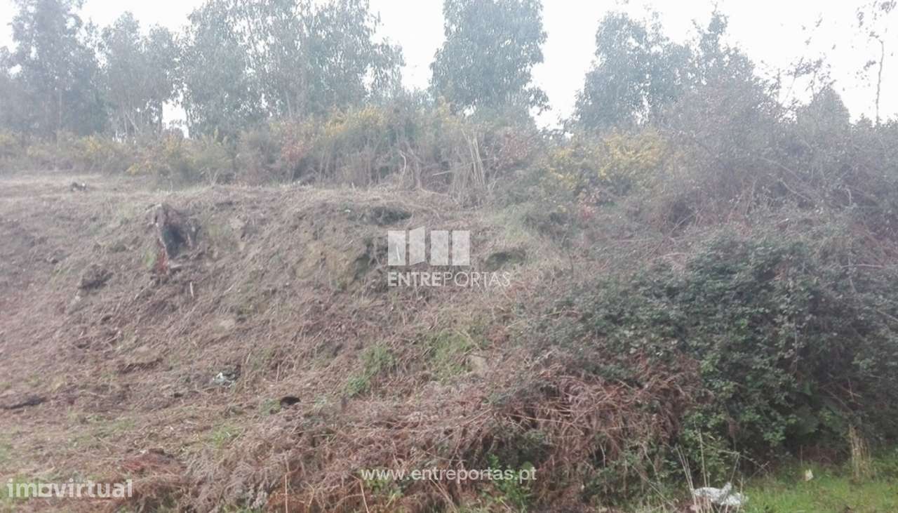 Venda Terreno, Sande, Marco de Canaveses - Grande imagem: 5/6