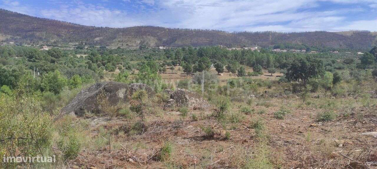 Terreno / Fundão, Vale de Prazeres e Mata da Rainha - Grande imagem: 4/9