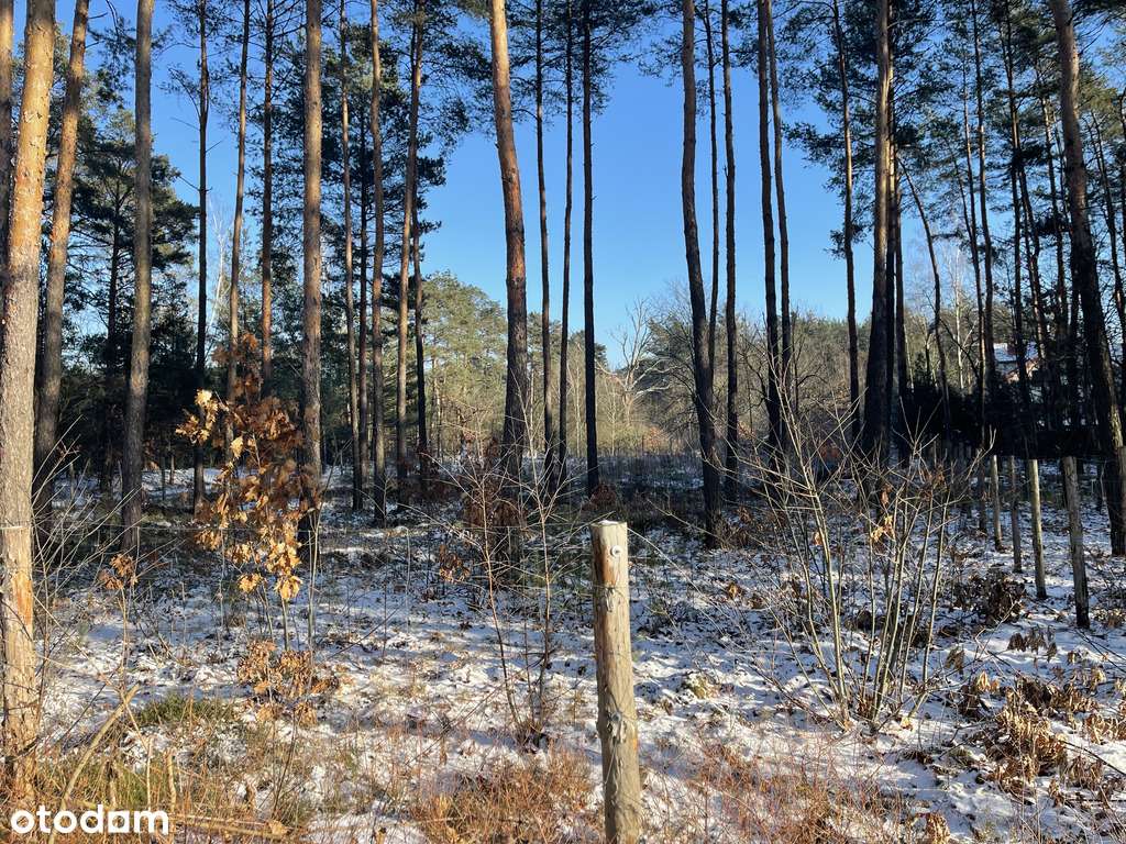 Działka róg Wolęcińskiej/Marty, Warszawa Radość-9