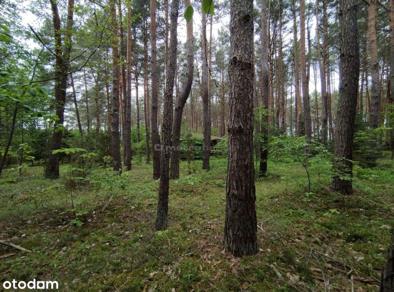 Dom, 28 m², Dzbądz - Pełny obrazek: 5/17