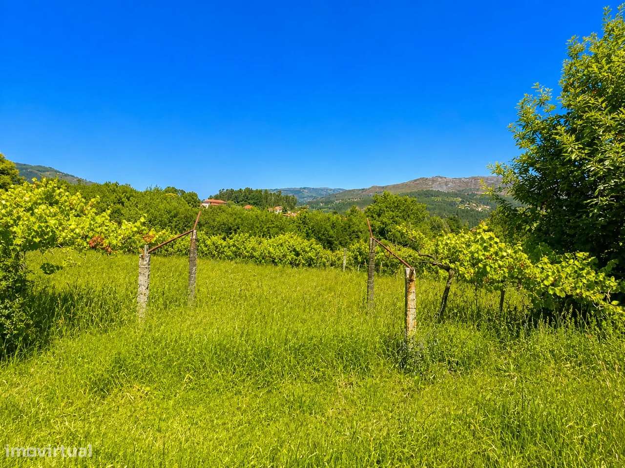 Quinta com Moradia T4 em Pedra, História e Natureza em Harmonia em Arc-34