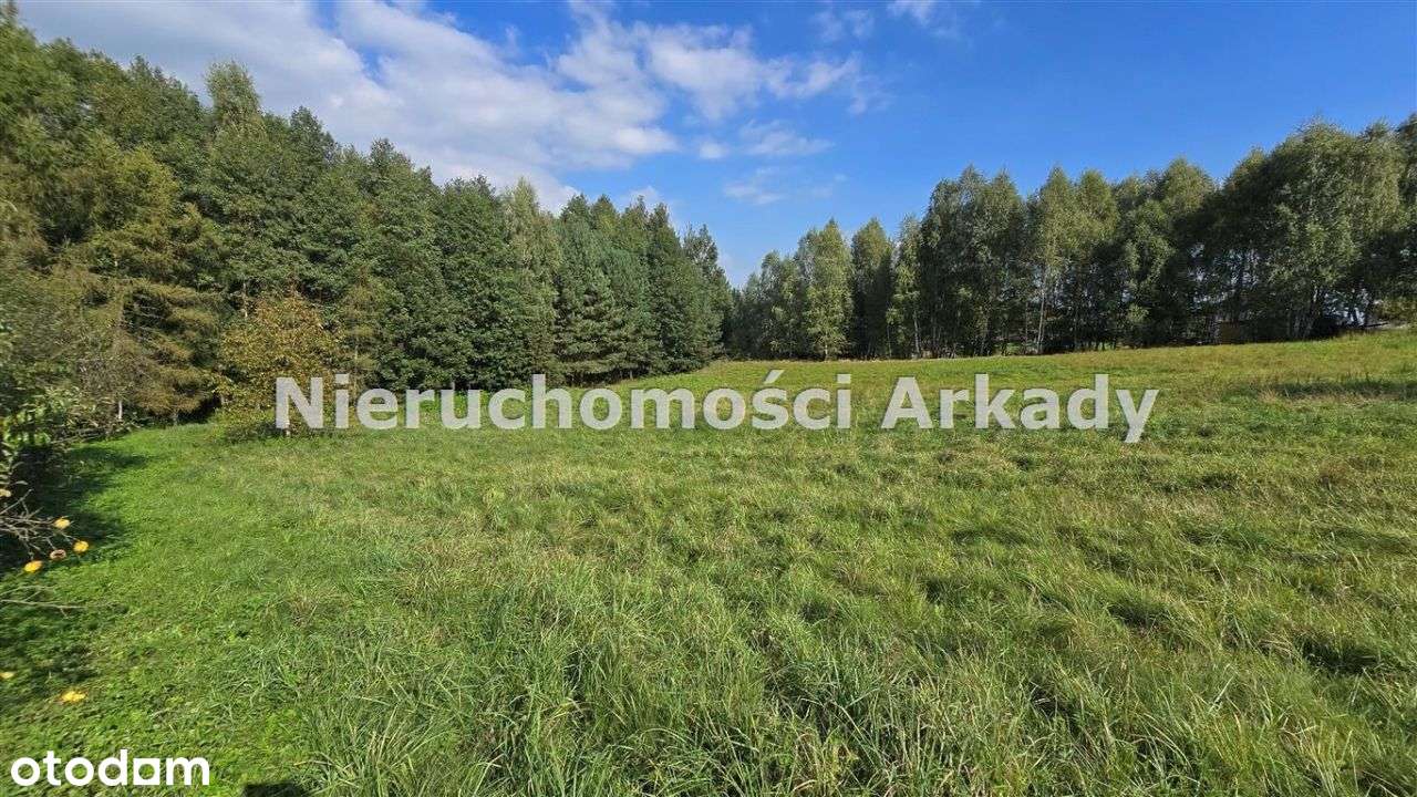 Piękna działka pod lasem-4