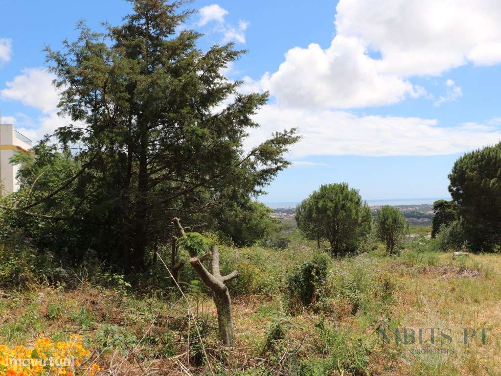 À VENDA: Lote com vista mar em Malveira da Serra - localização elev...-9