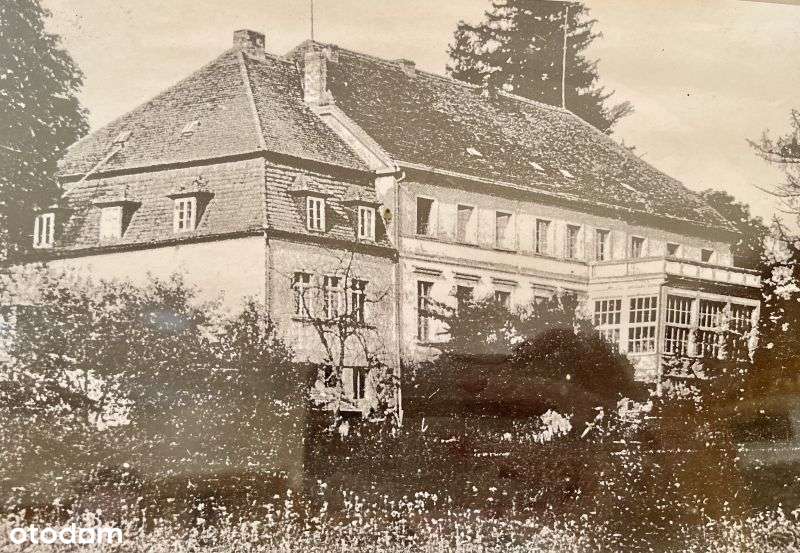 Na sprzedaż Pałac w Gostkowie, o pow. 1173m2 - Pełny obrazek: 5/7