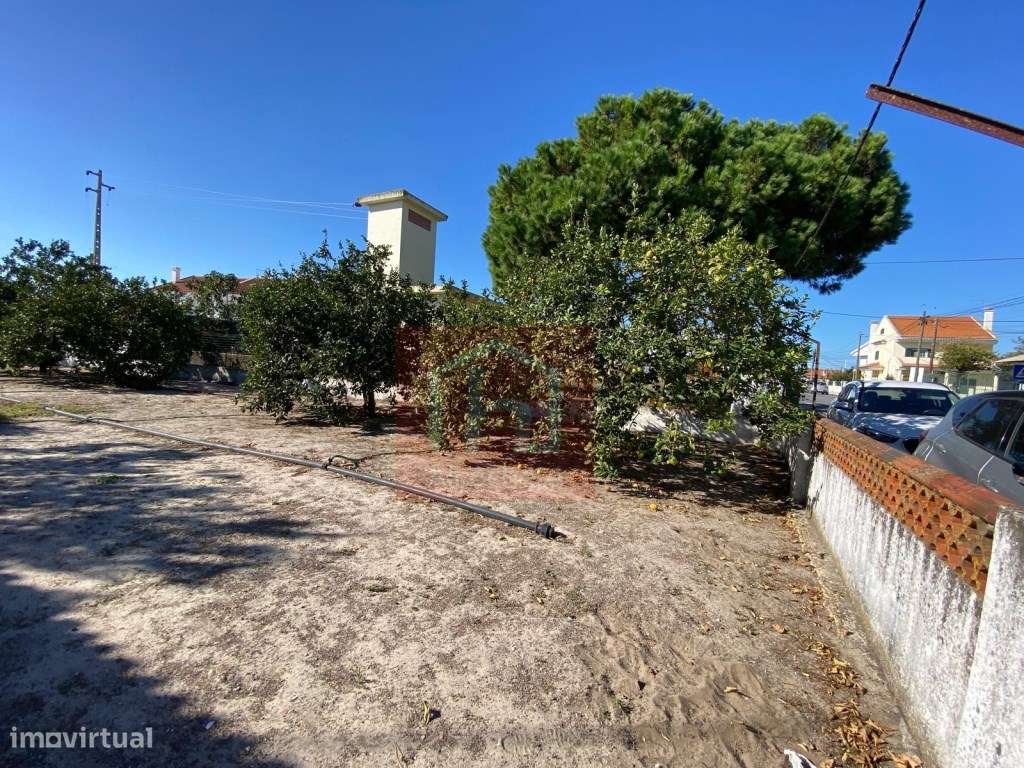 Moradia térrea com terreno na Jardia, Montijo - Grande imagem: 4/28