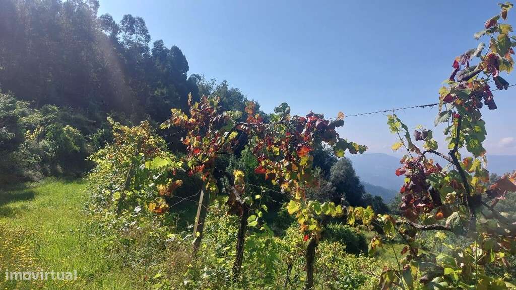 Terreno - Seramil - Grande imagem: 3/12