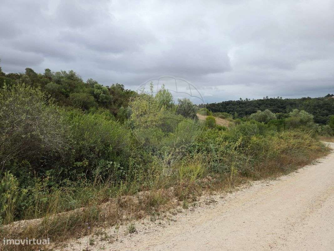 Terreno  para venda - Grande imagem: 3/12