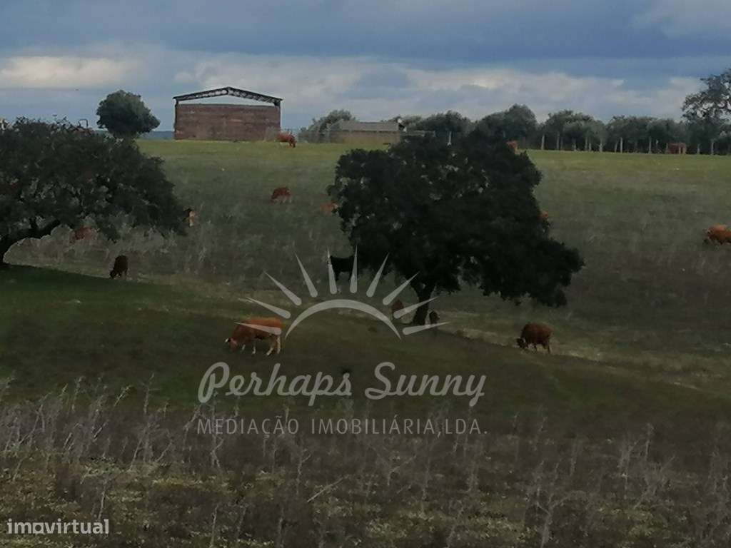 Quinta em Relíquias - Odemira-29