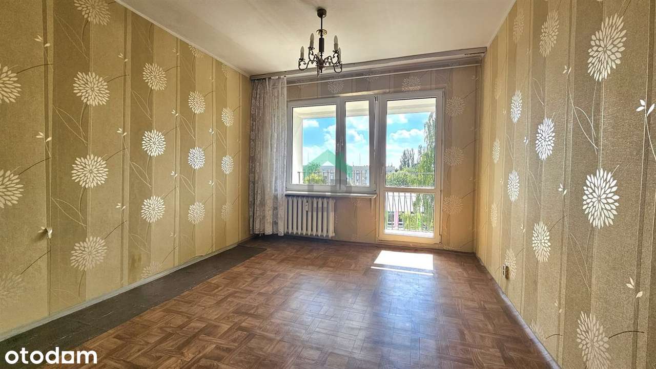 Cztery pokoje na Północy - Pełny obrazek: 5/16