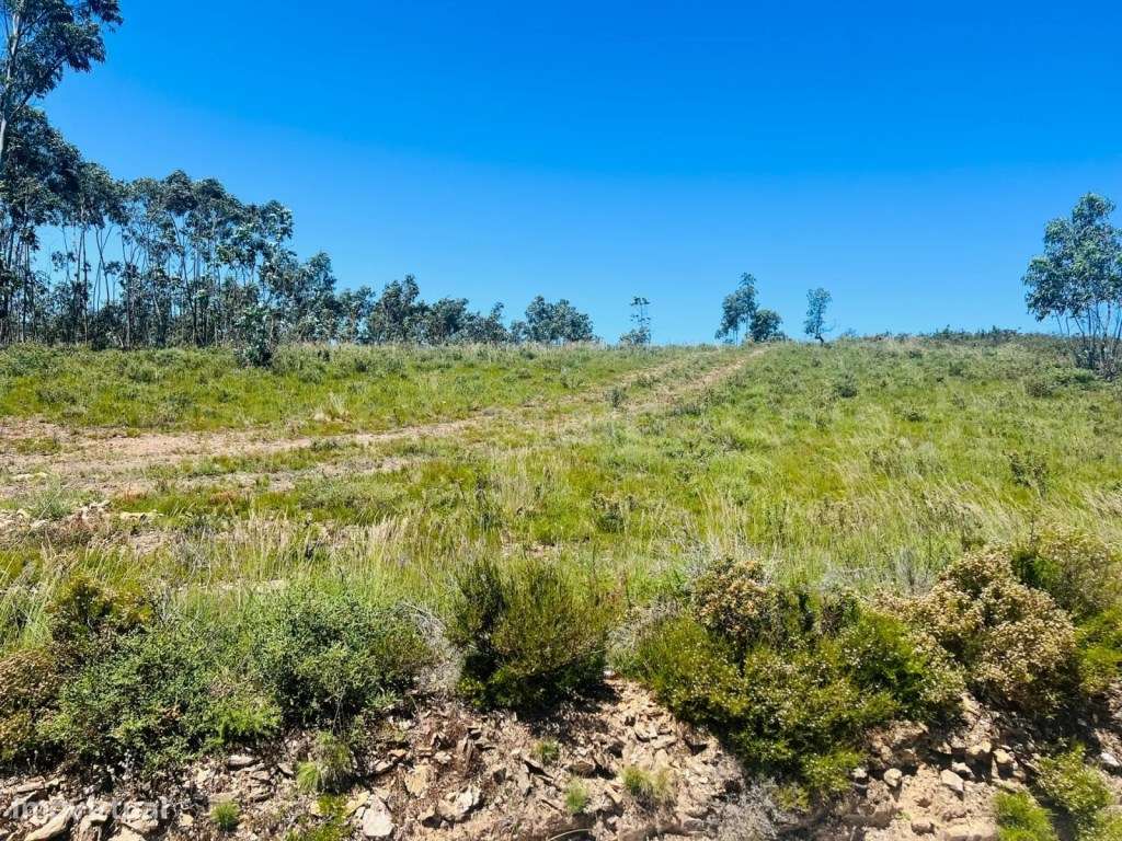 Terreno rústico para venda, Melres-10