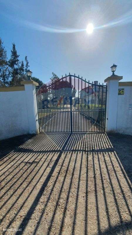 Quinta T4 para venda - Grande imagem: 4/47