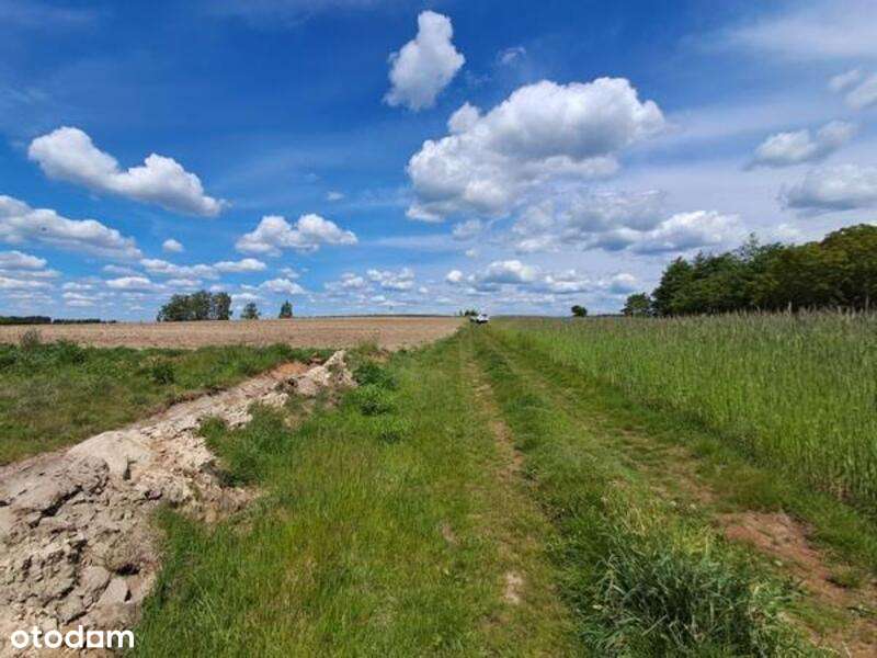 Syndyk sprzeda nieruchomość Turobowice - Pełny obrazek: 2/2